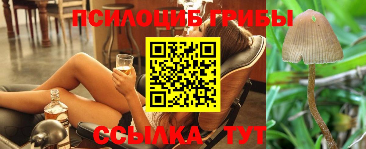 Галлюциногенные грибы мицелий Борисоглебск