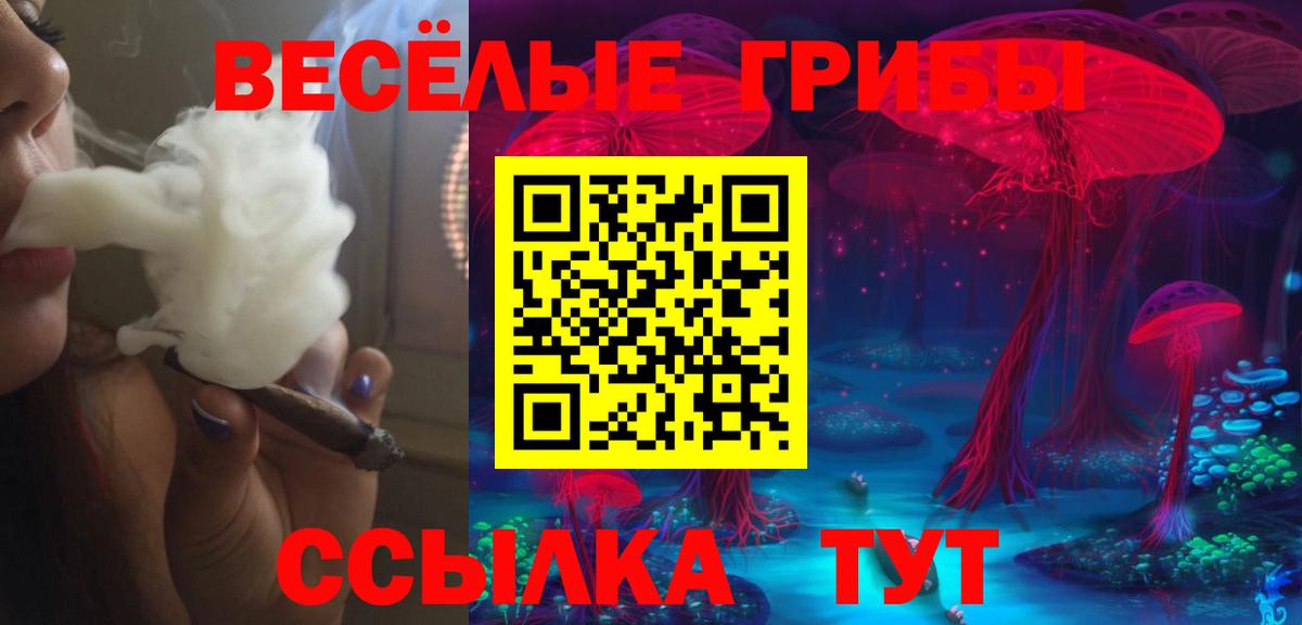 Псилоцибиновые грибы GOLDEN TEACHER  Псилоцибиновые грибы мицелий  Борисоглебск  наркота  Вход с VPN 